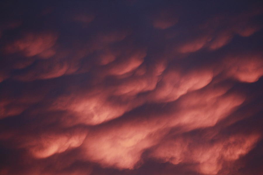 Cotton Candy Clouds Photograph by Phyllis Bradd