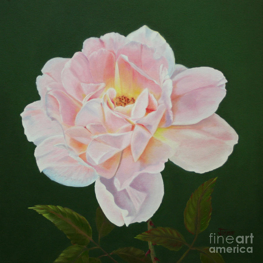Cotton Candy Rose Painting by Jimmie Bartlett