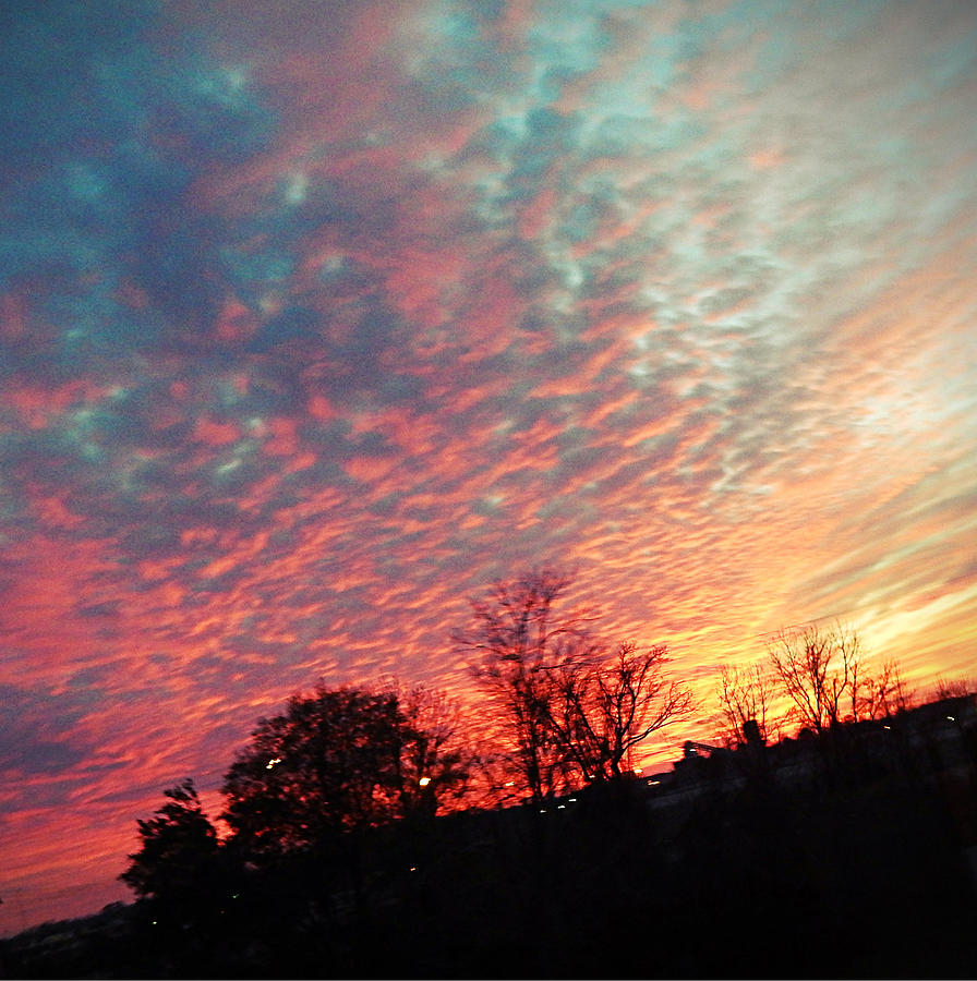 Sunset Photograph - Cotton Candy Sky by Joetta Beauford