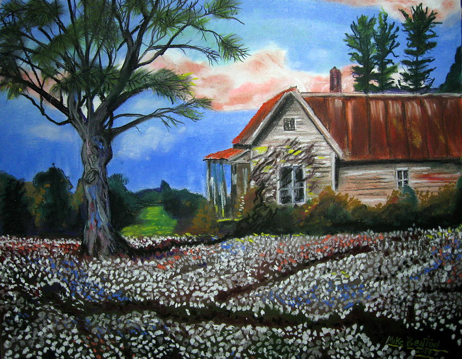 Cotton Fields Back Home Pastel by Mike Benton