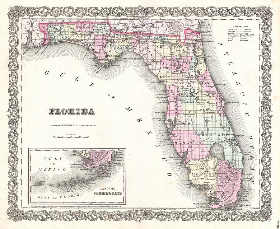 Cotton Map Of Florida 1855 Drawing by Suzanne Powers