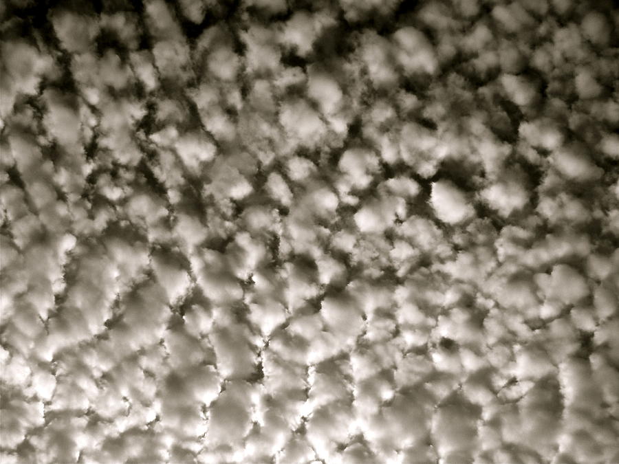 Cotton Sky Photograph by Kim Pippinger