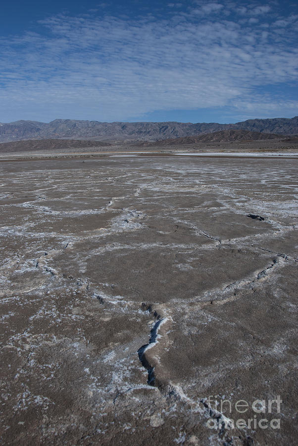 Cottonball Basin at Death Valley Photograph by Juli Scalzi