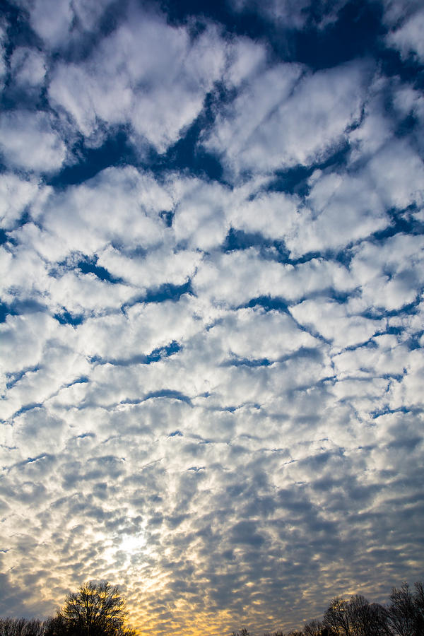 Cottonball Clouds Photograph by Kathy Liebrum Bailey - Fine Art America