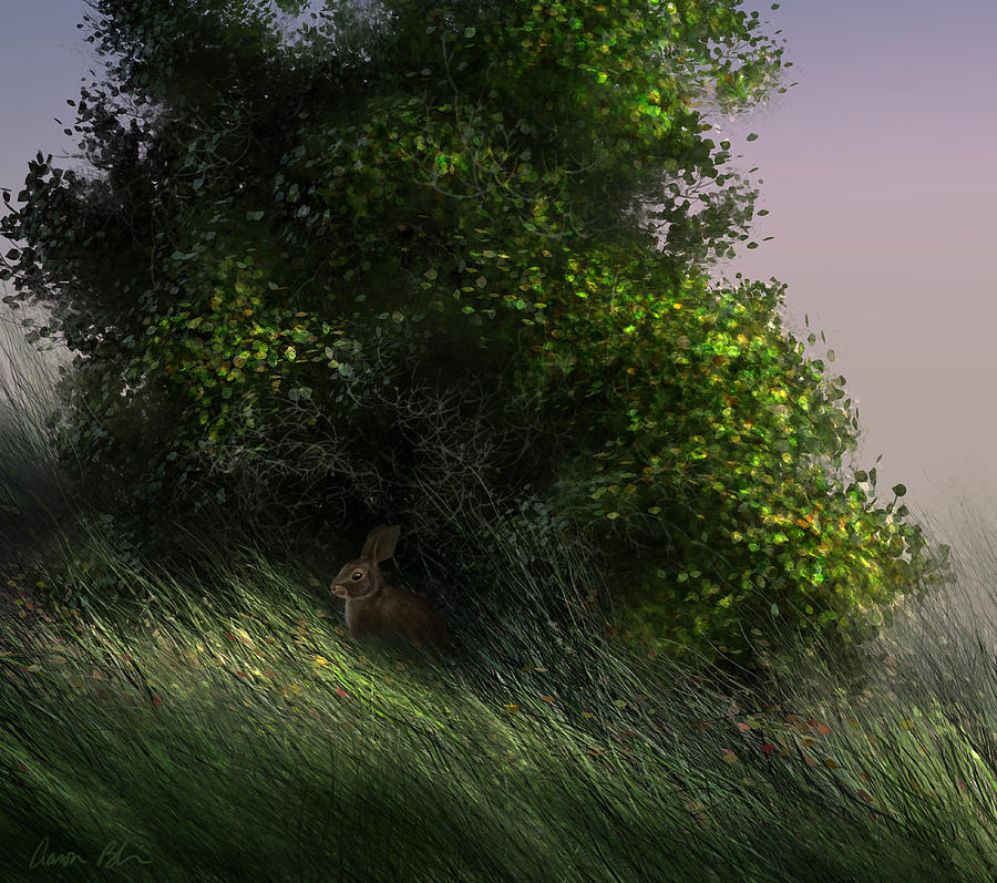 Animal Digital Art - Cottontail by Aaron Blaise