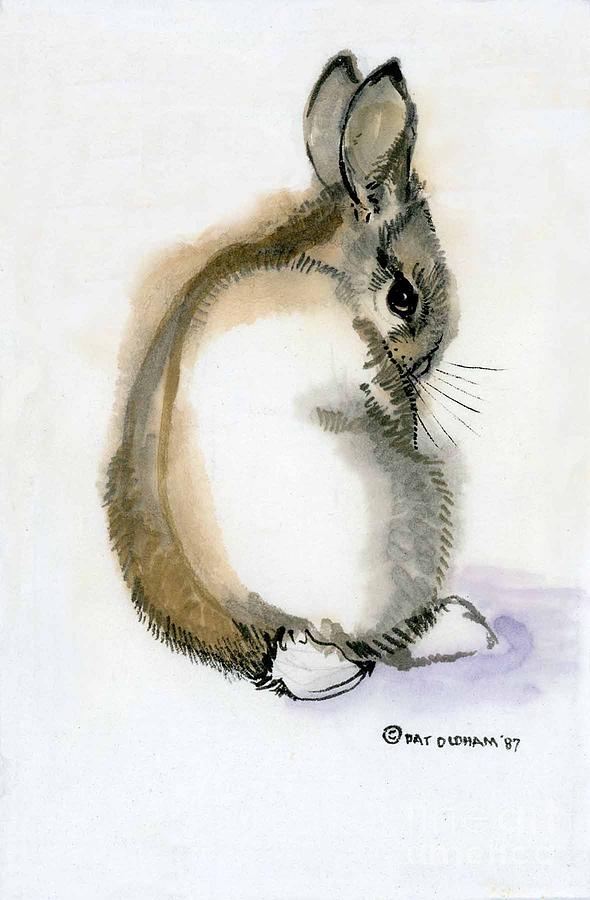 Cottontail Painting by Pat Oldham