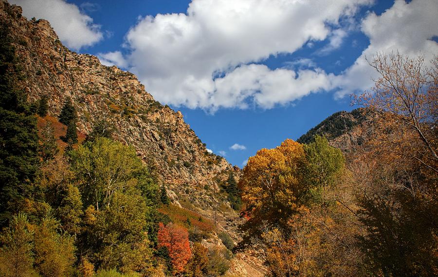 Cottonwood Canyon Autumn in Utah Photograph by Tracie Schiebel