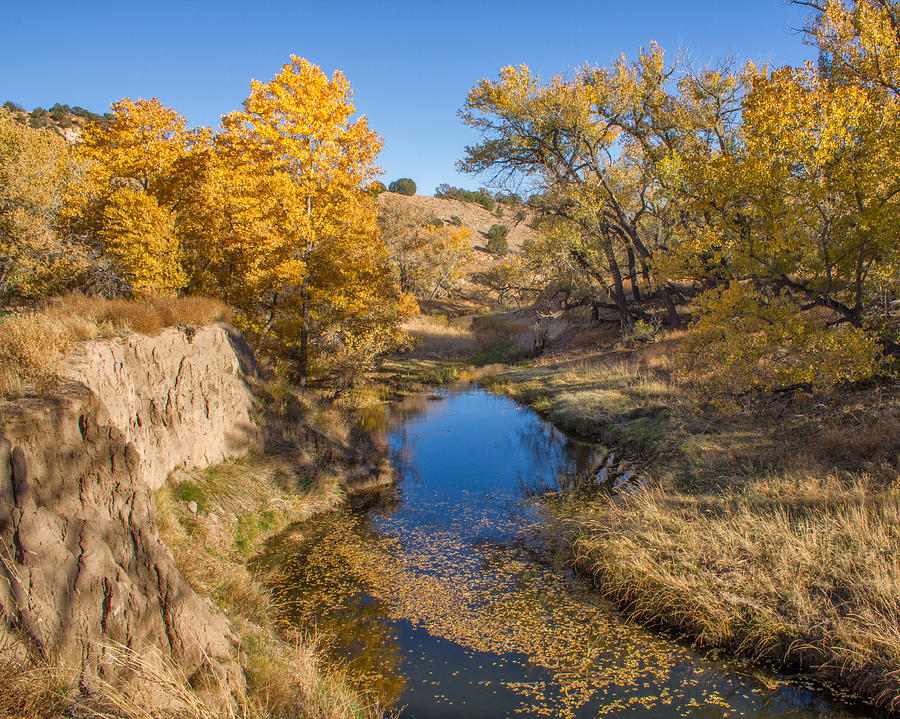 Cottonwood Creek in Cottonwood Canyon Photograph by Lois Lake