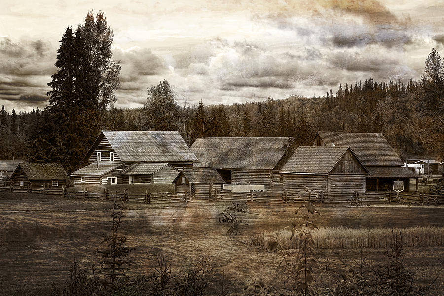 Barn Photograph - Cottonwood House by Inge Riis McDonald