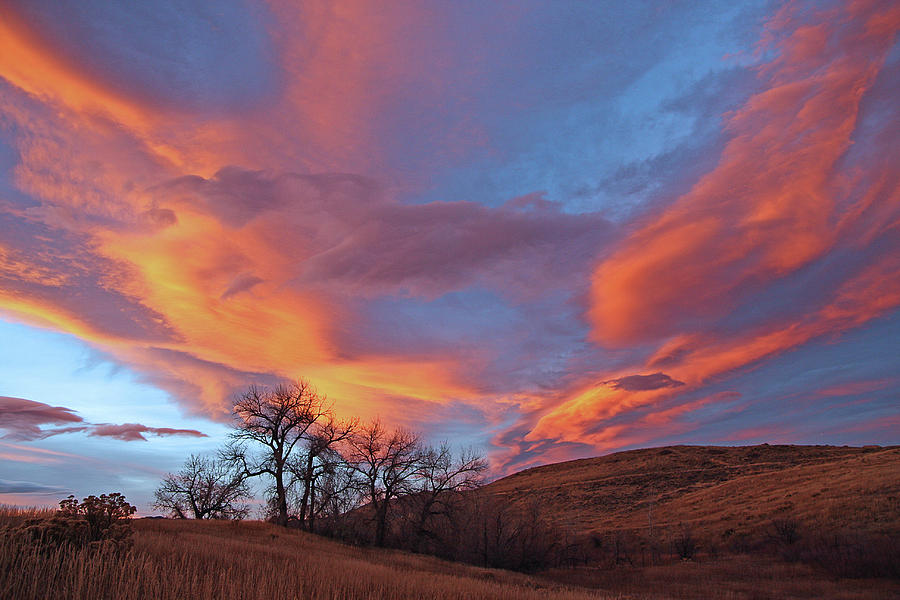 Cottonwood Sunset Photograph by Jim Garrison