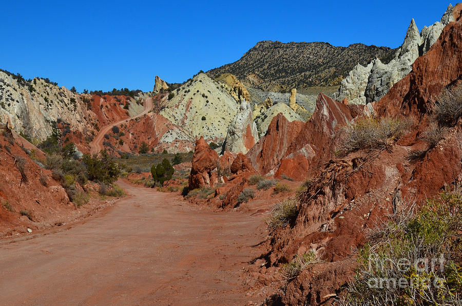Cottonwood Wash Road by Kate Sumners Cottonwood Wash Road by Kate Sumners