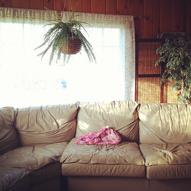 Couch Photograph - Couch by Rebecca Guss