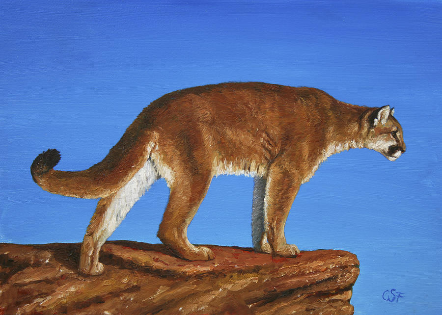 Wildlife Painting - Cougar Cliff by Crista Forest