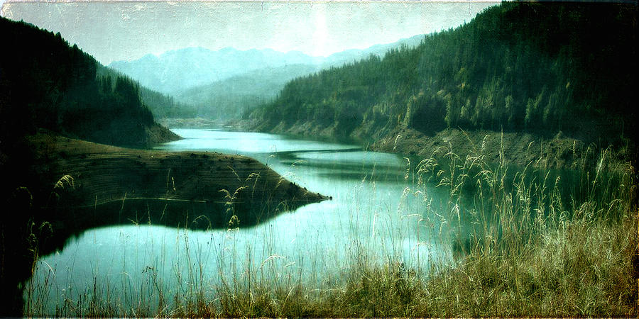 Cougar Dam Photograph by Bonnie Bruno