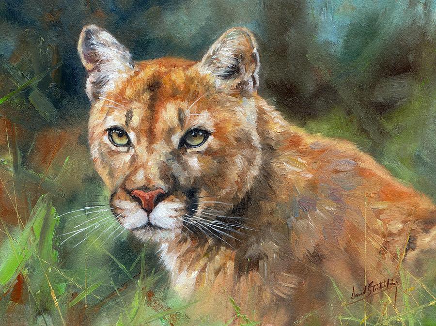 Cougar Painting by David Stribbling