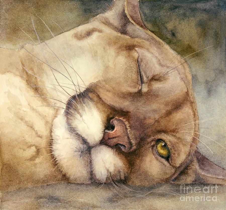 Wildlife Painting - Cougar    I See You     by Bonnie Rinier