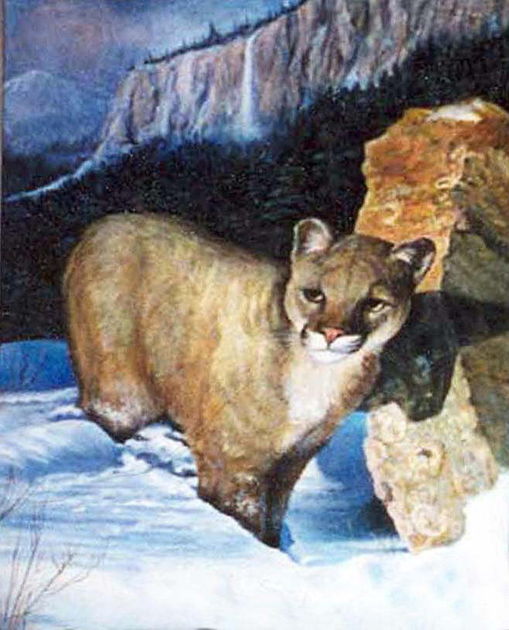 Cougar in snow Painting by Donna Tucker