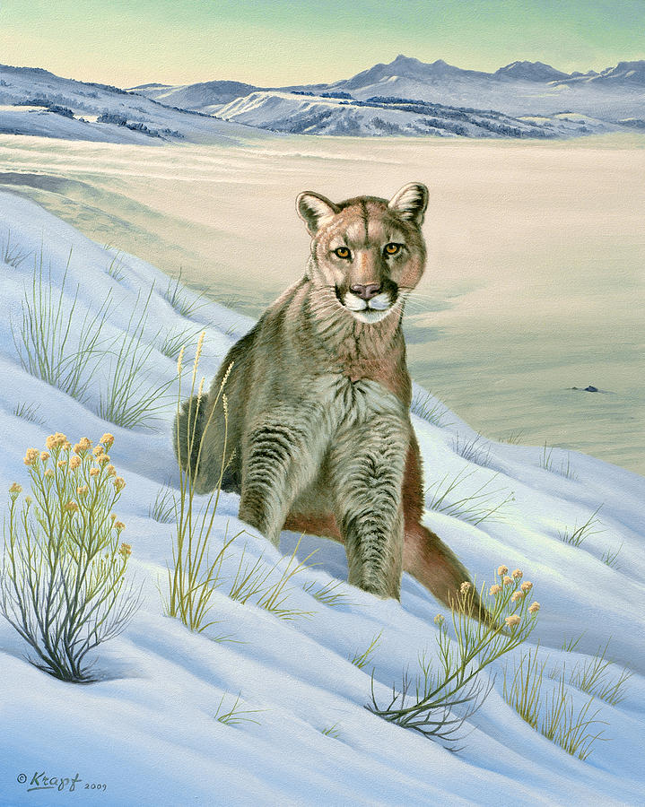 Wildlife Painting - Cougar in Snow by Paul Krapf