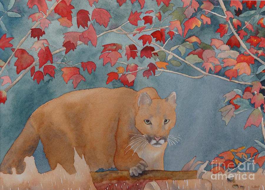 Cougar Painting by Laurel Best