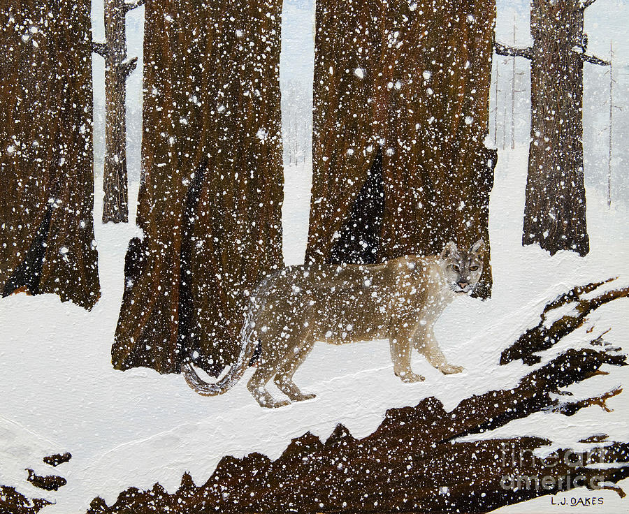 Cougar Stare  Painting by L J Oakes