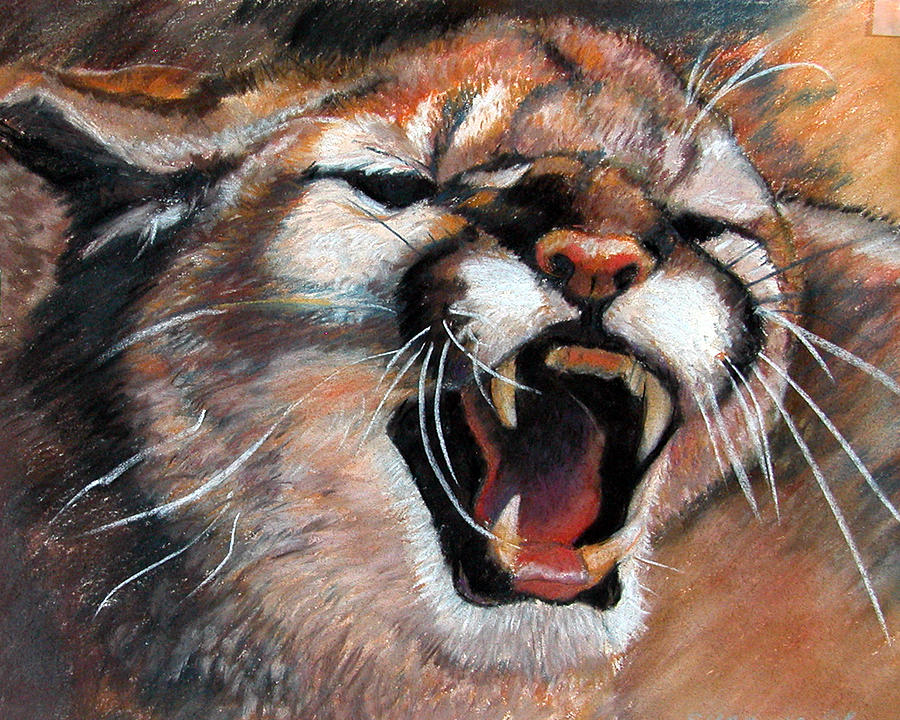 Cougar Painting by Synnove Pettersen