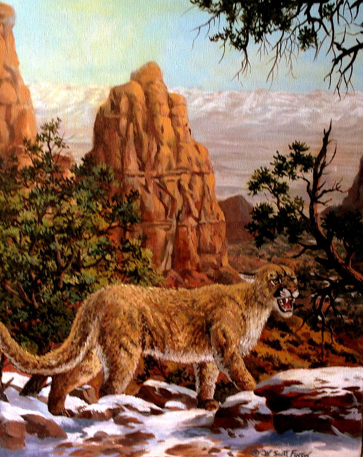 Cougar Painting by W Scott Fenton