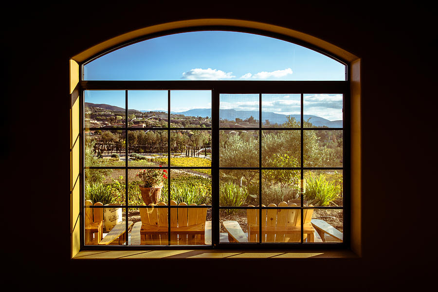 Cougar Winery View Photograph by Lauri Novak