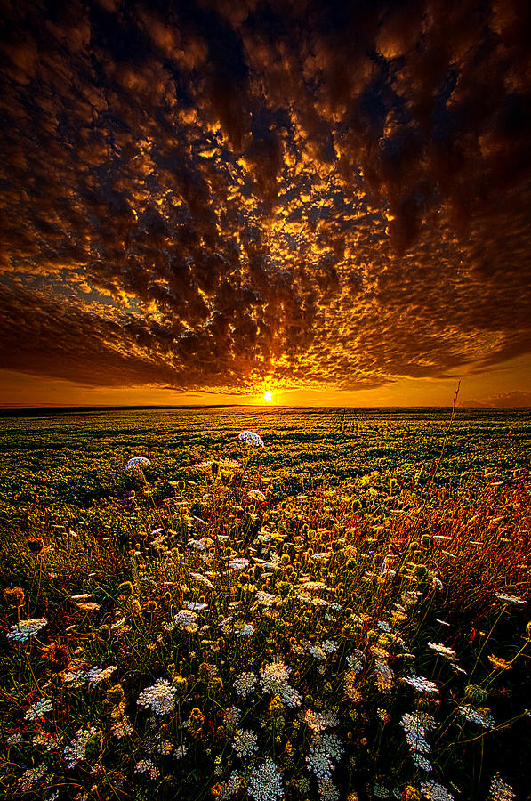 Couldnt Find The Words To Say Photograph by Phil Koch