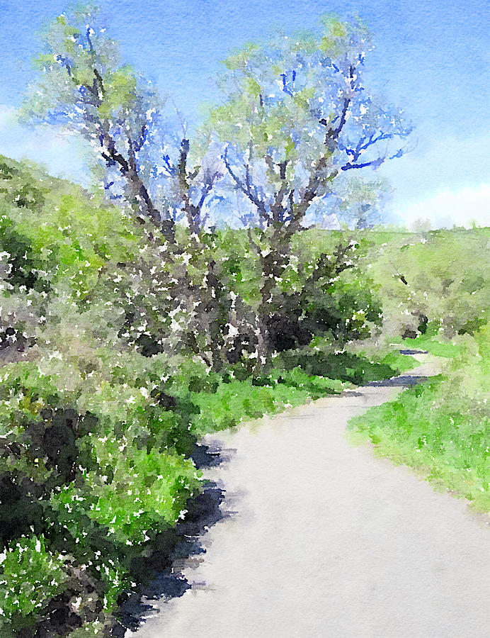 Coulee Path Digital Art by Donald S Hall