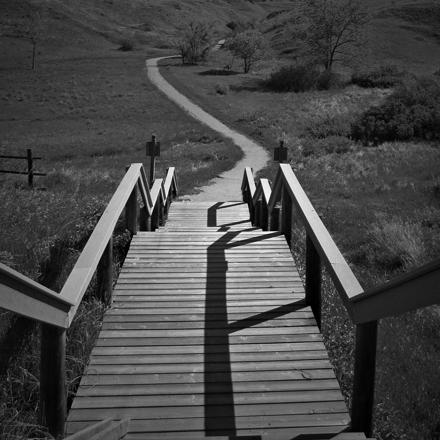 Coulee Stairs Photograph by Donald S Hall