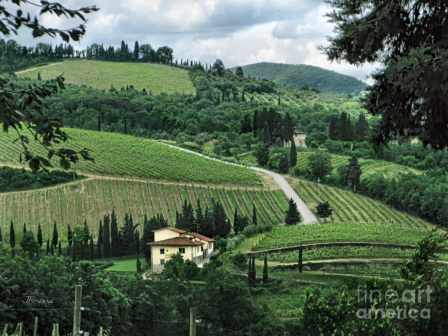 Counrtyside of Tuscany Photograph by Jennie Breeze