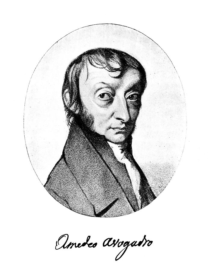 Count Amedeo Avogadro (1776-1856) Painting by Granger