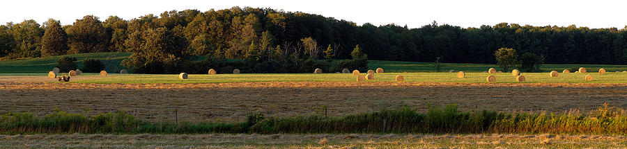 Country Bales  Photograph by Doug Gibbons