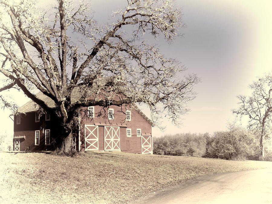 Country Barn  Photograph by HW Kateley