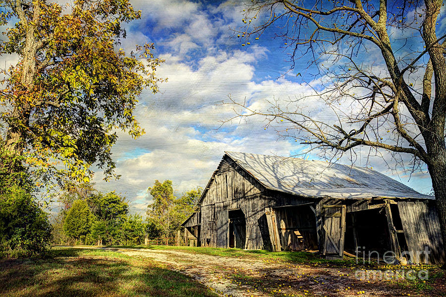 Tree Photograph - Country Barn by Joan McCool