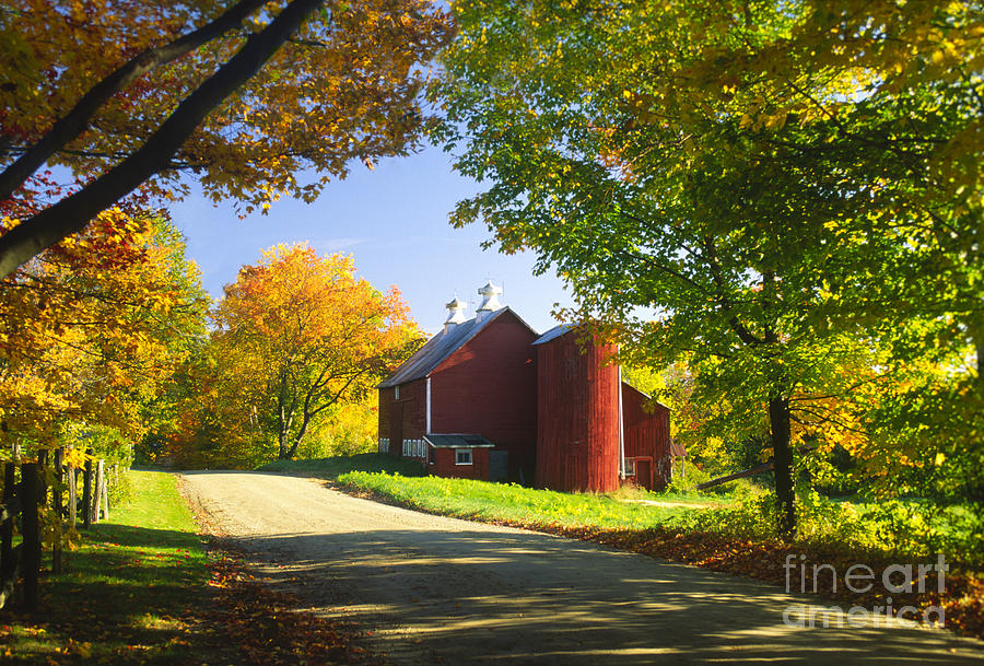 Country barn on an autumn afternoon. Photograph by Don Landwehrle