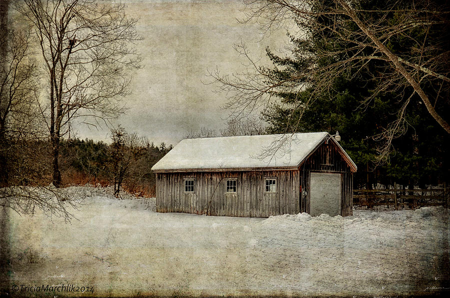 Country Barn Photograph by Tricia Marchlik