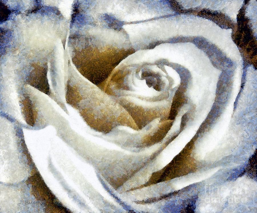 Country Blues white Rose Photograph by Janine Riley