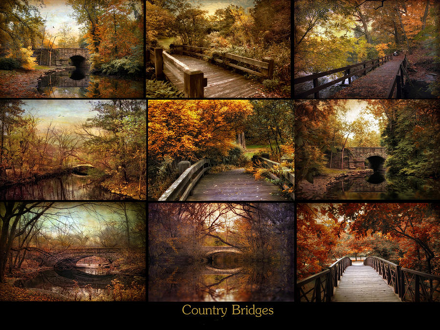 Country Bridges Photograph by Jessica Jenney
