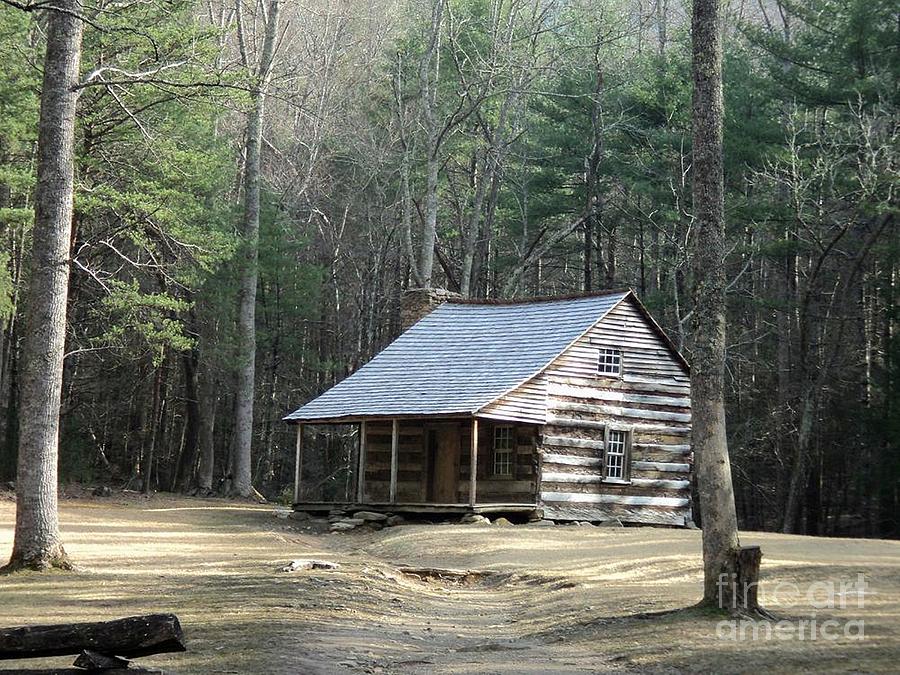 Country Cabin Photograph by Pics by Jody Adams - Fine Art America