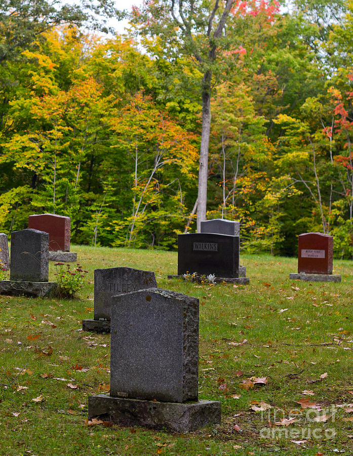 Country cemetery in the fall Photograph by Les Palenik
