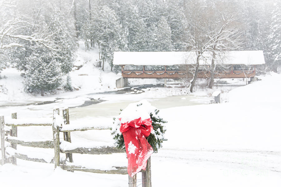 Country Christmas Photograph by Cheryl Baxter