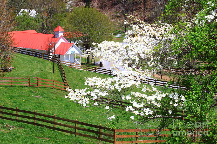 Country Church in the Springtime Photograph by Jill Lang