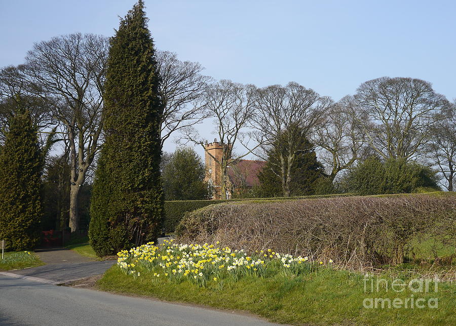 Country Church In Spring Photograph