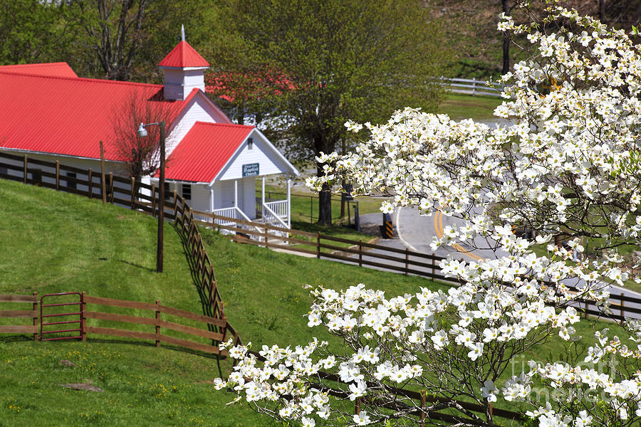 Country Church with Dogwood Blooms Photograph by Jill Lang