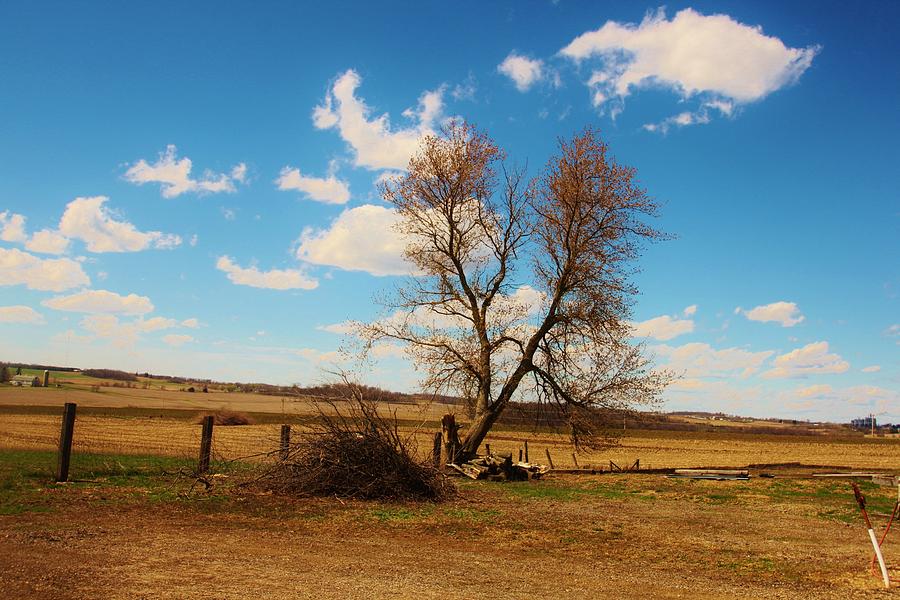 Country Clouds Photograph by Dan Young - Fine Art America