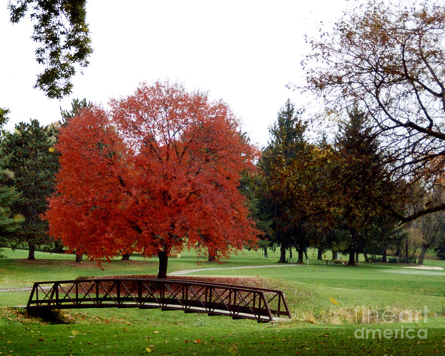 Country Club at Fall Photograph by Robert Suggs