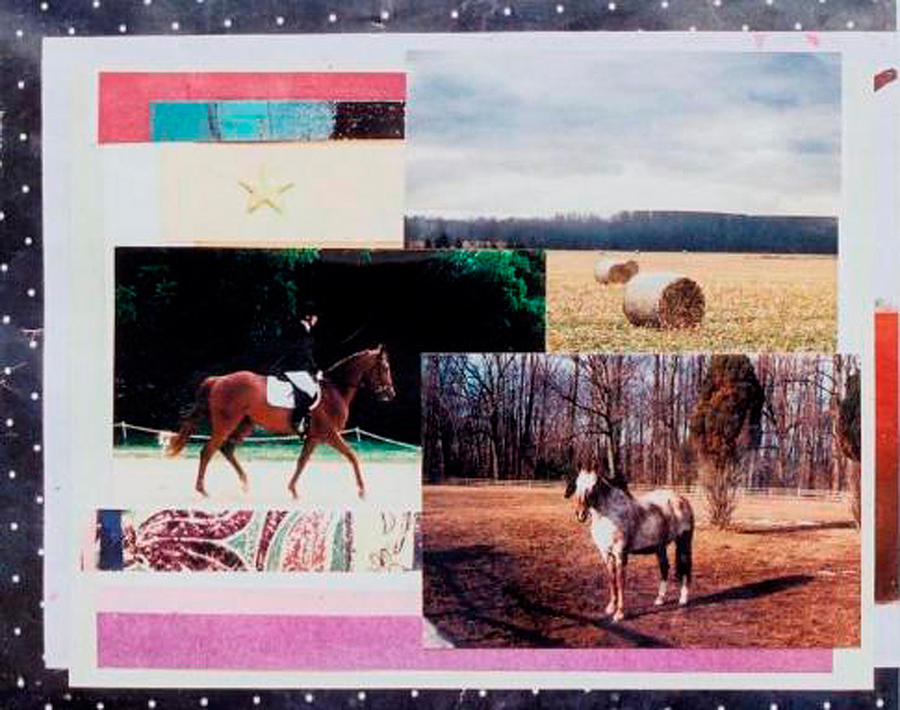 Country Collage 6 Mixed Media by Mary Ann Leitch
