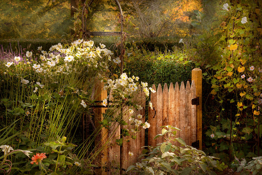Country - Country autumn garden  Photograph by Mike Savad