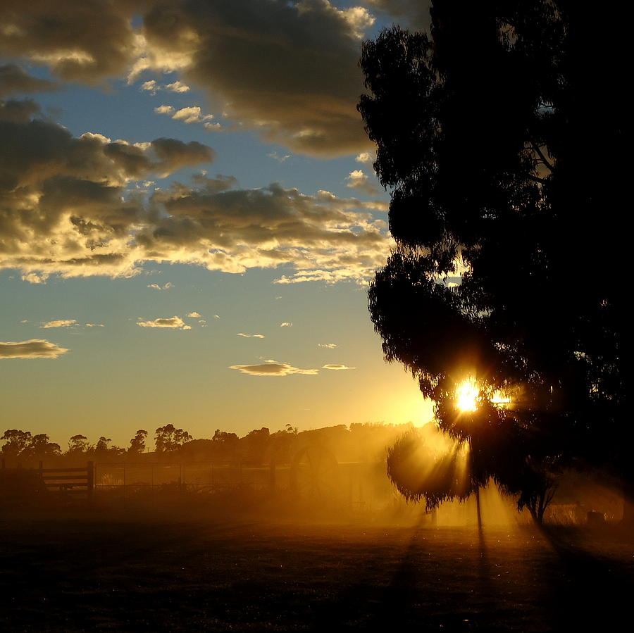 Farm Photograph - Country Dawn by Peter Mooyman